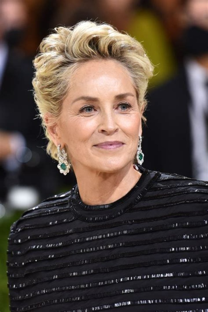 Unveiling The Age Of Sharon Stone: Discoveries And Revelations
