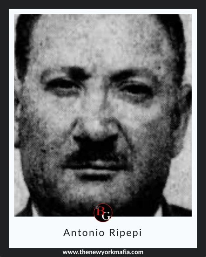 Unveiling The Extraordinary Life Of Antonio Ripepi: Discoveries And Insights