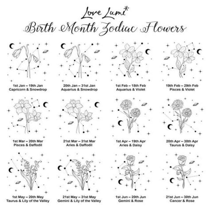 A Journey Into Her Life