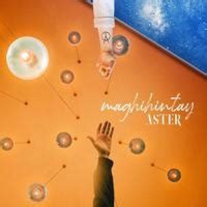 Unveiling The Enchanting World Of Aster Singers: Discoveries And Insights