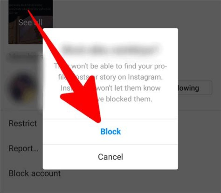 The Ultimate Guide To Blocking