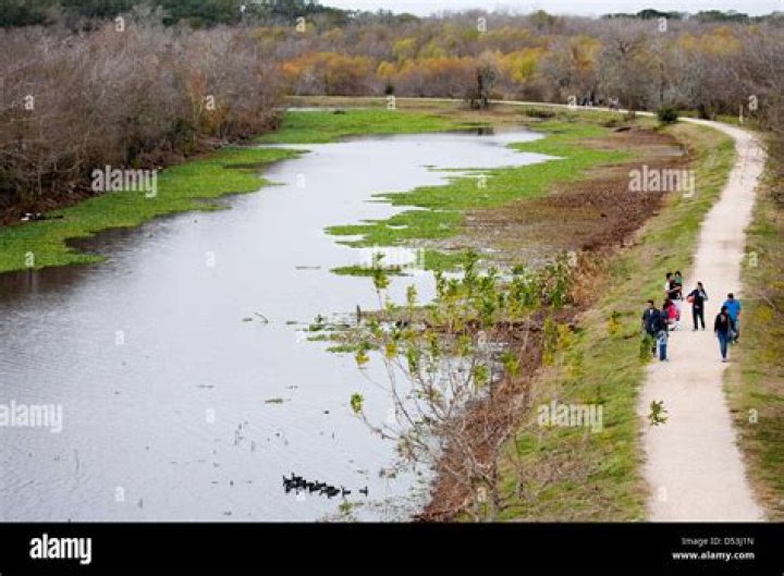 Uncover The Hidden Gems And Nature's Wonders Of Brazos Bend State Park