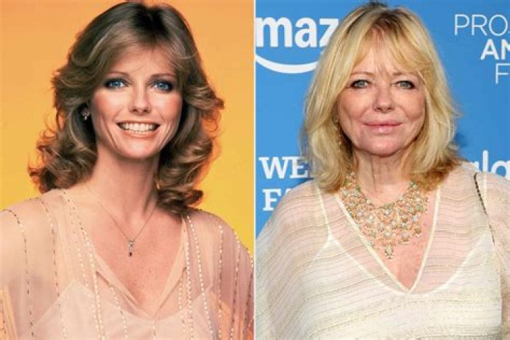 Unveil The Timeless Beauty And Impact Of Cheryl Tiegs