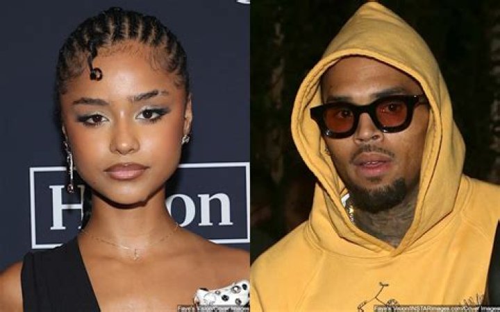 Unraveling Chris Brown's Relationship Status: Exclusive Insights And Revelations