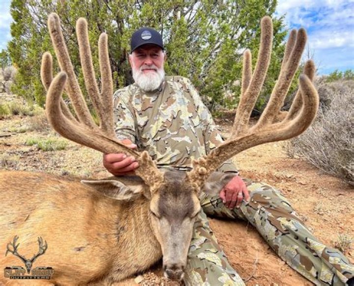 Discover The Secrets To Cliff Findlay's Remarkable Net Worth