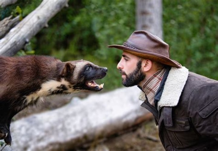 Unveiling The Wild With Coyote Peterson: Discoveries And Insights