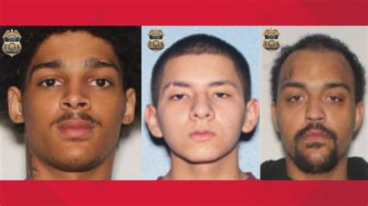 Discover The Legacy Of Devin Williams