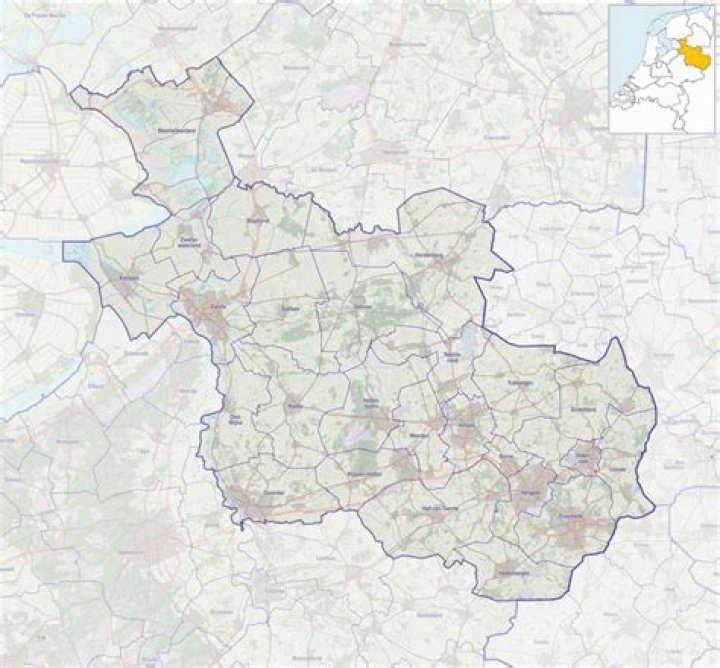 Uncover The Enigmatic World Of Dolphins: Dive Into "Dolphia"!