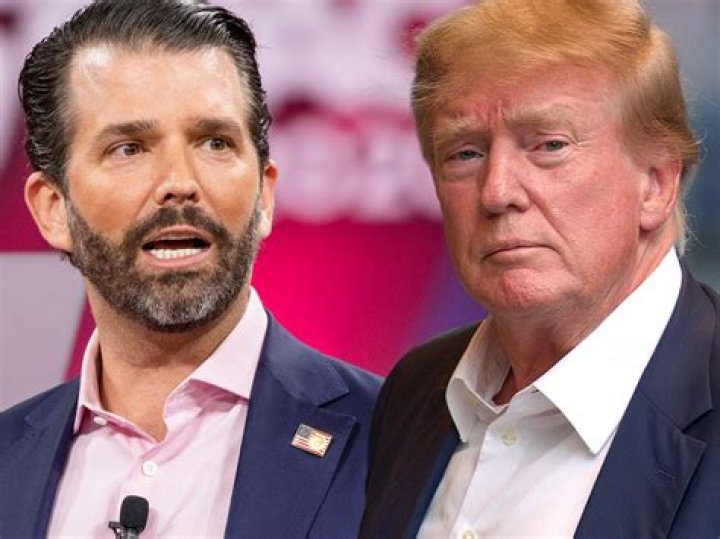Exploring Donald Trump Jr.'s Twitter Influence