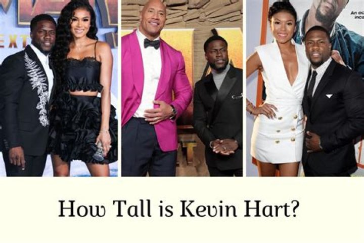 Uncover Kevin Quinn's Height And Its Impact
