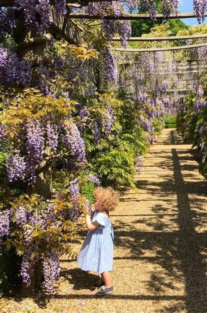 Unveiling The Enchanting Iris Marina: Discoveries And Insights Unveiled