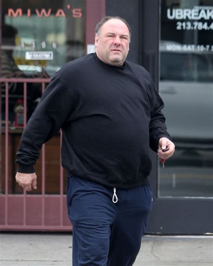 Unveil The Enigma: James Gandolfini's Thin Transformation