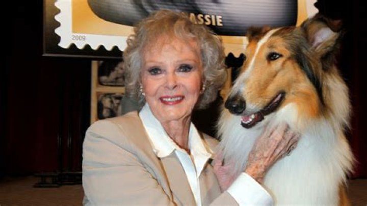 Unveiling The Enchanting World Of June Lockhart: A Journey Of Discovery