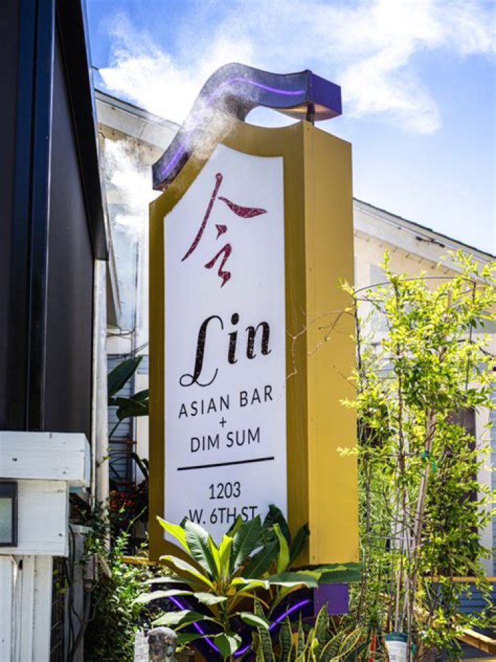 Unlock The Secrets Of Asian Cuisine At Lin Asian Bar