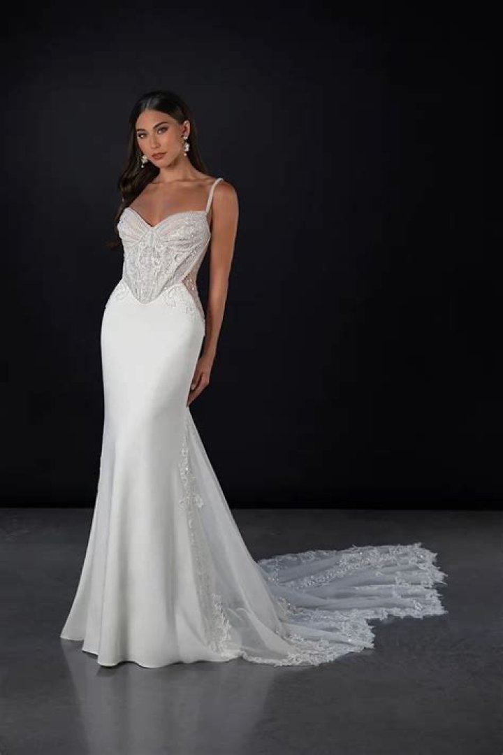 Ecological Marvels And Evolutionary Insights