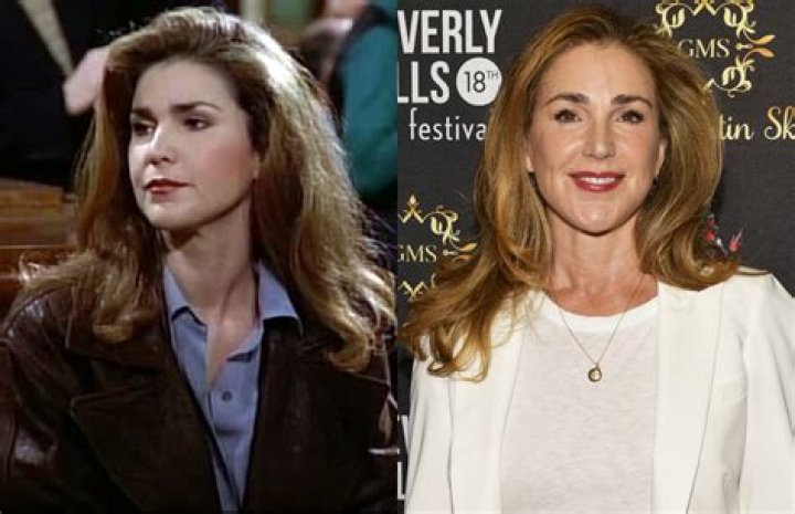 Unveiling Peri Gilpin's Current Endeavors And Enduring Impact
