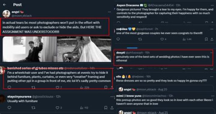 Discover The Art Of Praising Photographers: Insights And Techniques