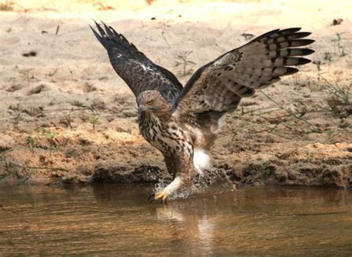 Uncover The Hidden Gems Of Southern Lausanne: A Journey Of Discovery