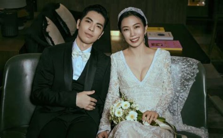 A Journey Into Animation Brilliance