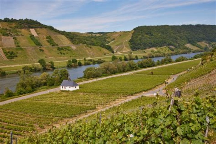 Tobin Prigge's Impact On Bellevue, NE