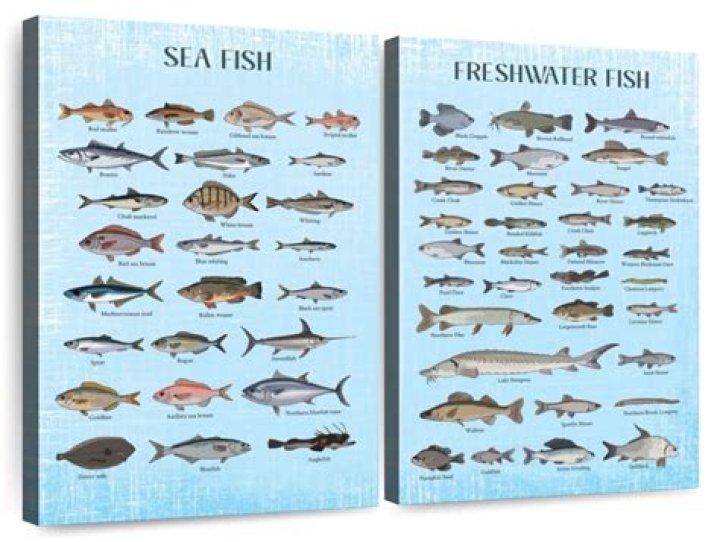 Explore New Insights And Discoveries