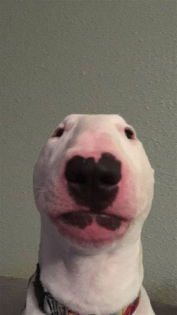 Unveiling His Secrets And Impact