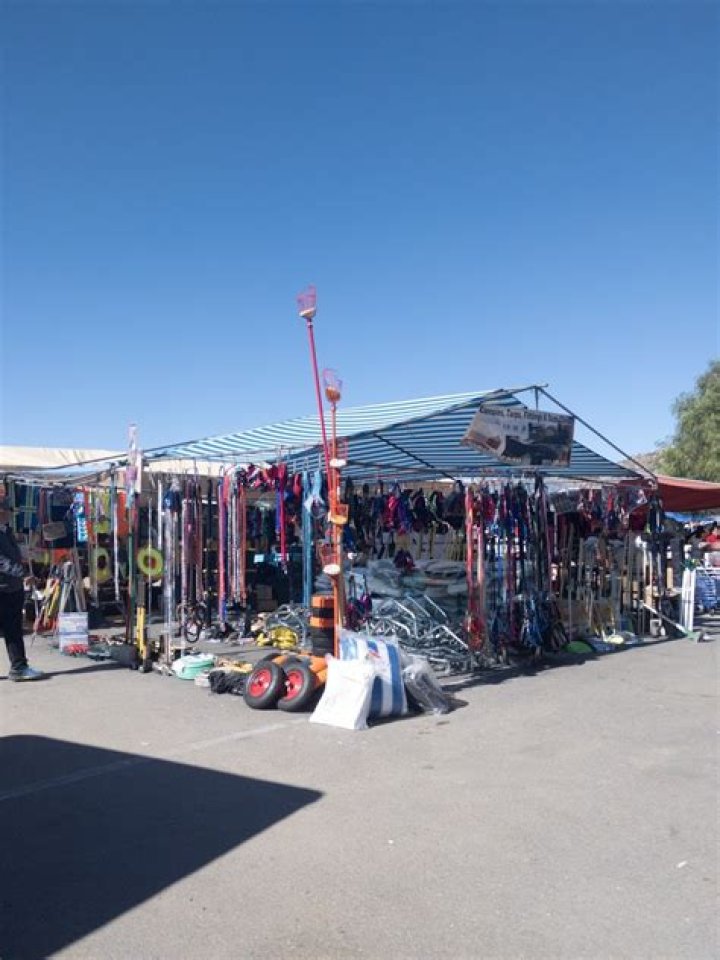 Winchester Swapmeet Photos: Discoveries And Insights Galore