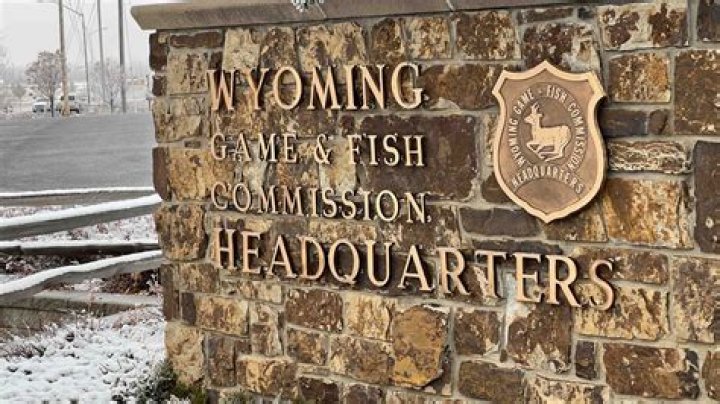 Dive Into The Secrets Of The Game And Fish